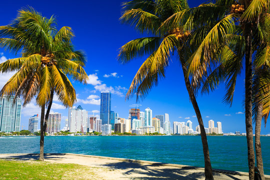 miami Thumbnail